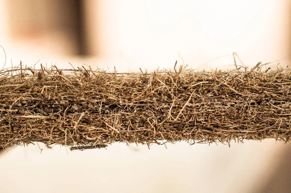 Colchón con fibra de coco. Coco de coco. Cáscara de coco rallada para la producción de colchones. textura, fondo natural . — Foto de Stock