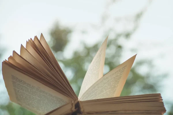 Natura morta autunnale accogliente: tazza di caffè caldo e libro aperto sul davanzale della finestra vintage e pioggia all'esterno. Autunno. Appartamento. Pioggia — Foto Stock