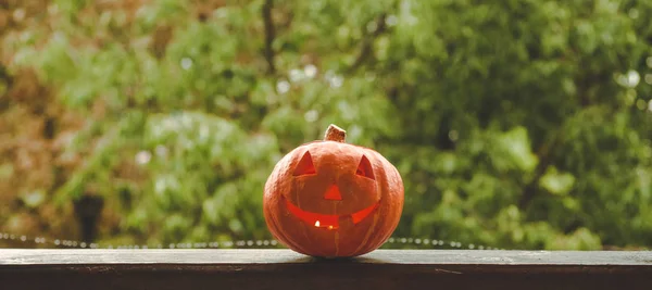 Bakgrunden Halloween pumpa på en mysig fönsterbrädan med en röd pläd. Hela pumpa och tomtebloss utomhus. Glad halloween! Hösten — Stockfoto