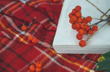 Çay ve doğal zemin üzerine eski kitap güzel kompozisyon Kupası ile. Yağmurlu bir gün, yaz ve sonbahar sezon.