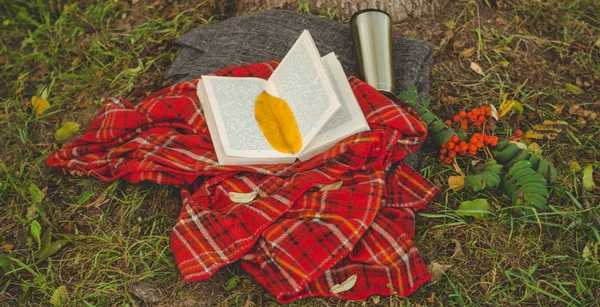Belle composition avec tasse de thé et vieux livre sur fond naturel. Jour de pluie, été ou automne . — Photo
