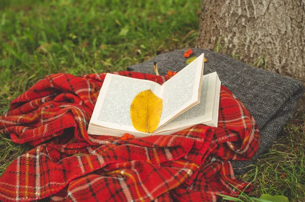 Belle composition avec tasse de thé et vieux livre sur fond naturel. Jour de pluie, été ou automne . — Photo