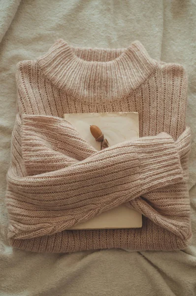 セーターは抱擁本です。上本装飾ドングリ。読み取り、残りの部分。居心地の良い秋または冬の概念 — ストック写真