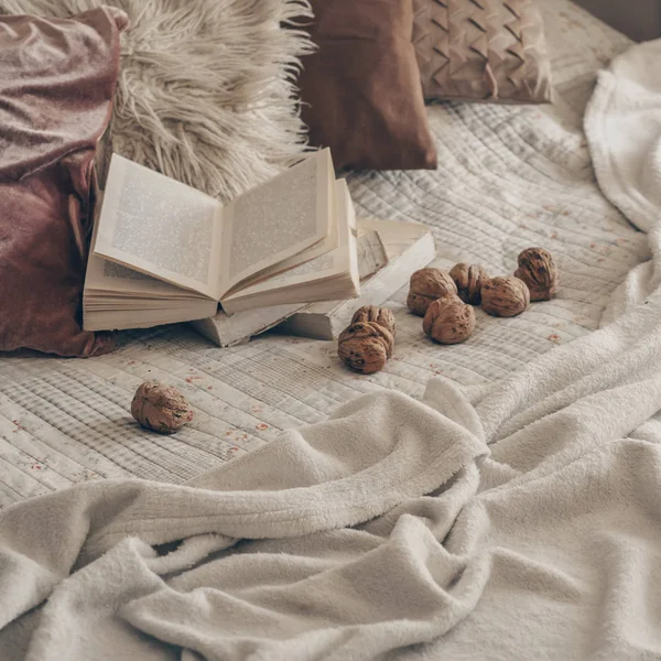 Cálido interior de la sala de estar con un libro abierto con nueces. Lee, descansa. concepto de fin de semana de invierno. Acogedor concepto de otoño o invierno —  Fotos de Stock