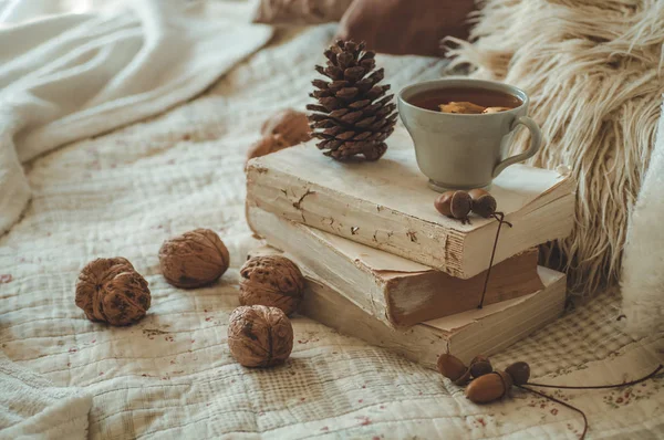 Stillleben im heimischen Wohnzimmer. Pullover und eine Tasse Tee mit einer Tüte auf den Büchern. lesen. Gemütliches Herbstwinterkonzept — Stockfoto