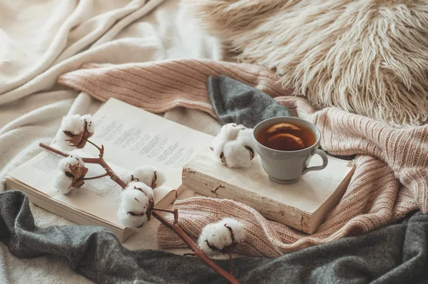 Still life in home interior of living room. Sweaters and cup of tea with a cone  on the books. Read. Cozy autumn winter concept — Stock Photo, Image