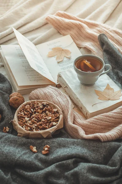 Still life in home interior of living room. Sweaters and cup of tea with a cone  on the books. Read. Cozy autumn winter concept — Stock Photo, Image