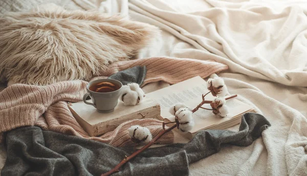 Still life in home interior of living room. Sweaters and cup of tea with a cone  on the books. Read. Cozy autumn winter concept — Stock Photo, Image