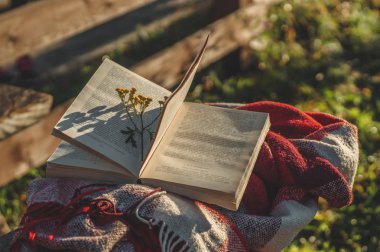 Açık havada bir kitapla Odaya Servis Kahvaltı. Bir termo bardak üzerinde buhar. Açık kitap niteliğine. Kitap ve içme kahve. Reading adlı açık