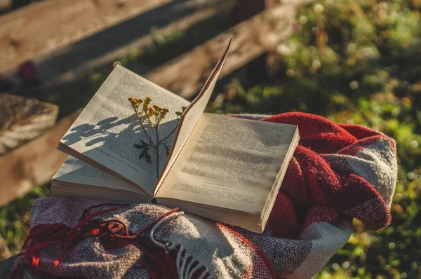 Colazione con un libro all'aperto. Vaporizzare sopra una tazza termo. Libro aperto sulla natura. Prenota e bevi caffè. Lettura all'aperto — Foto Stock