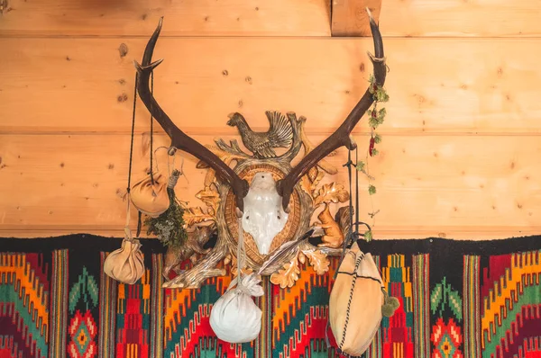 The horizontal photo of the bull skull hanging on the wooden wall decorated with horns, dry plants and vintage style carpet on the background