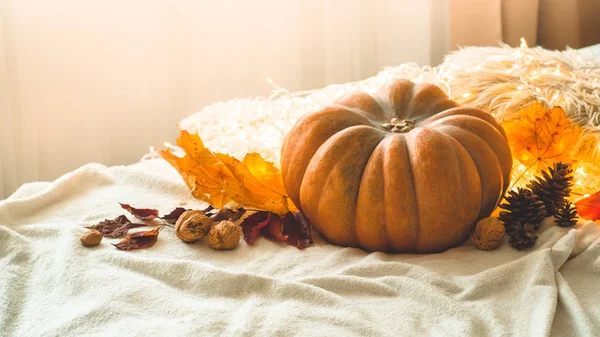 Happy Thanksgiving Day background, In home decorated Pumpkin, cones, nuts and autumn leaves garland. Holiday Autumn concept
