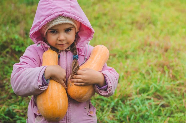 Jugando al aire libre linda niña sosteniendo una calabaza. La cosecha de las calabazas, el otoño en el jardín, la muchacha encantadora y las calabazas grandes — Foto de Stock