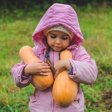 Balkabağına tutarak açık havada sevimli küçük kız oynamak. Bahçe, güzel kız ve büyük kabak kabak, sonbaharda hasat