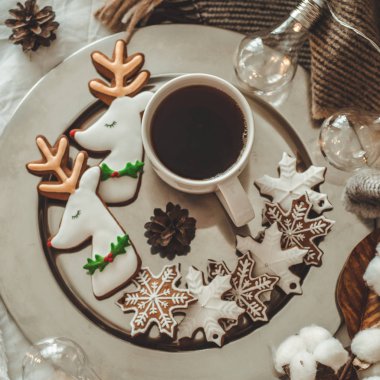 fincan çay veya kahve, köknar dalı, kar taneleri, rahat örgü battaniye, pamuklu ve rahat garland, yeni yıl şeklinde kurabiye