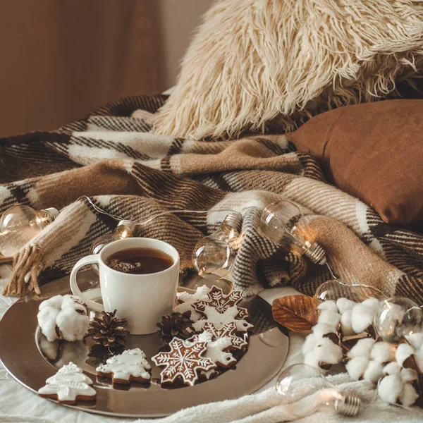 Tazza con tè o caffè, ramo di abete, biscotti a forma di fiocchi di neve, coperta lavorata a maglia accogliente, cotone e ghirlanda accogliente, Capodanno — Foto Stock