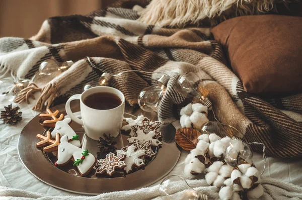 Tasse avec thé ou café, branche de sapin, biscuits en forme de flocons de neige, couverture tricotée confortable, coton et guirlande confortable, Nouvel An — Photo