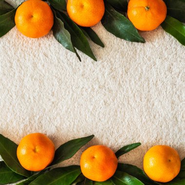 Mandalina (portakal, mandalina, clementines, narenciye) yaprakları, arka plan, ile alanı Kopyala