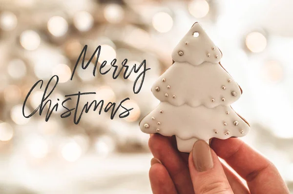 Merry Christmas. Female hands holding cookie shaped Christmas tree. Christmas mood. Concept of winter greeting