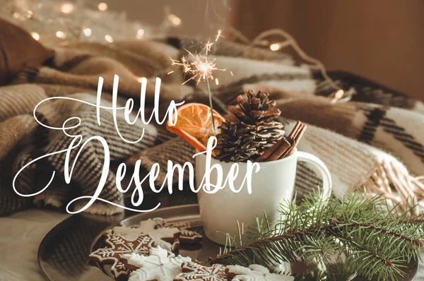 Hello December. Cup with cones and dry orange with sparkler, fir branch, cookies, cozy knitted blanket. Greeting card is ready Royalty Free Stock Photos