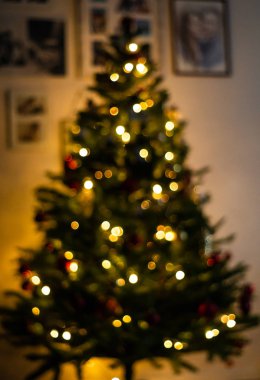 Noel ağacı bokeh silüeti. Noel arka plan ile ufuk ışık. 