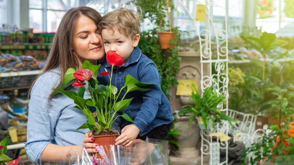 Mamá y su bebé en una tienda de plantas mirando flores. Jardinería en invernadero. Jardín botánico, floricultura — Foto de Stock