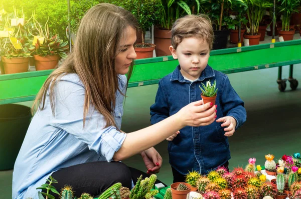 Mamá y su bebé en una tienda de plantas mirando cactus. Jardinería en invernadero. Jardín botánico, floricultura — Foto de Stock