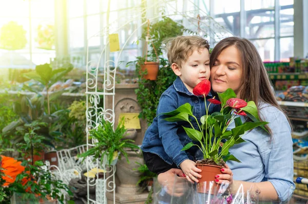 Mamá y su bebé en una tienda de plantas mirando flores. Jardinería en invernadero. Jardín botánico, floricultura — Foto de Stock