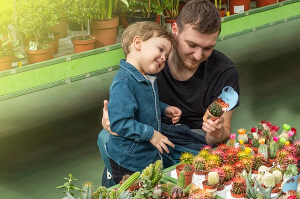 Padre y su bebé en una tienda de plantas mirando cactus. Jardinería en invernadero. Jardín botánico, floricultura — Foto de Stock