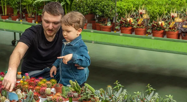 Padre y su bebé en una tienda de plantas mirando cactus. Jardinería en invernadero. Jardín botánico, floricultura — Foto de Stock