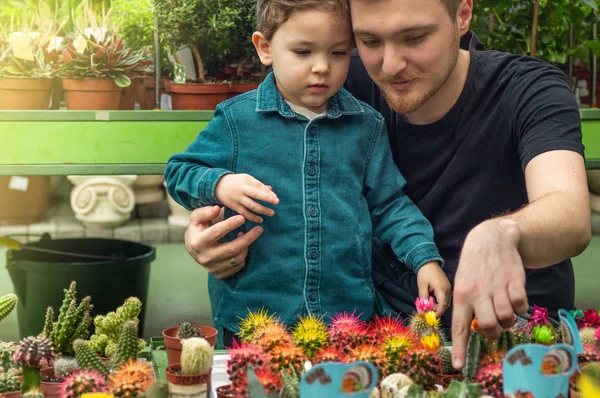 Padre y su bebé en una tienda de plantas mirando cactus. Jardinería en invernadero. Jardín botánico, floricultura — Foto de Stock