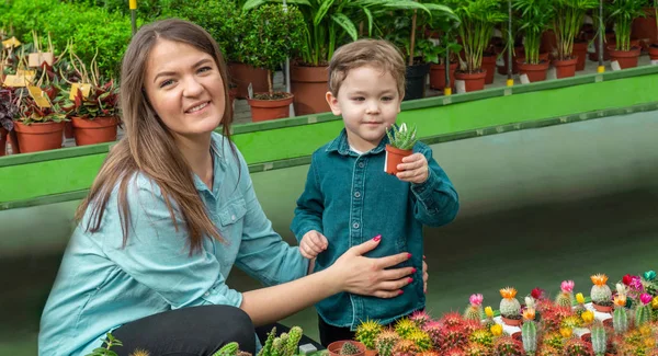 Mamá y su bebé en una tienda de plantas mirando cactus. Jardinería en invernadero. Jardín botánico, floricultura — Foto de Stock