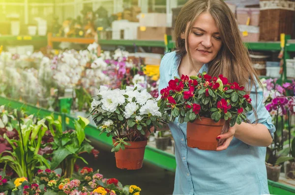 Hermosa cliente femenino oliendo macetas florecientes coloridas en la tienda minorista . — Foto de Stock