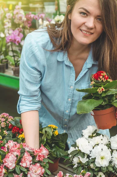 Hermosa cliente femenino oliendo macetas florecientes coloridas en la tienda minorista . — Foto de Stock