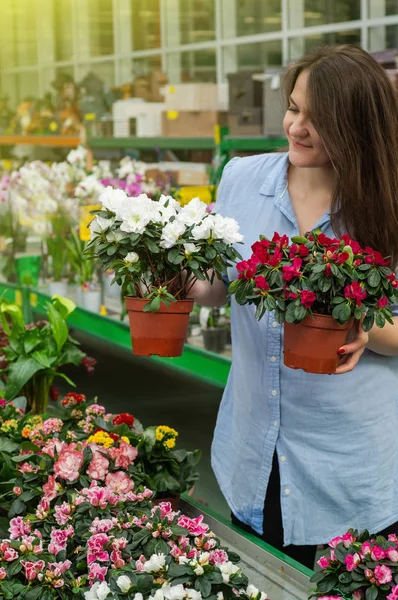 Hermosa cliente femenino oliendo macetas florecientes coloridas en la tienda minorista . — Foto de Stock