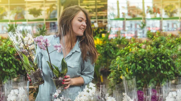 Hermosa cliente femenino oliendo orquídeas florecientes coloridas en la tienda al por menor . — Foto de Stock