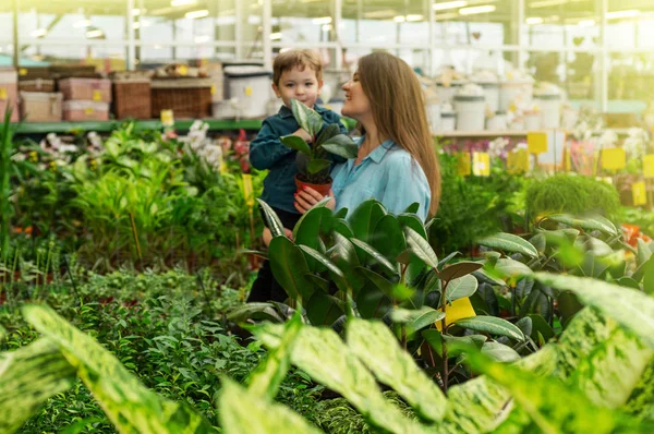 Mamá y su bebé en una tienda de plantas eligen plantas. Jardinería en invernadero — Foto de Stock