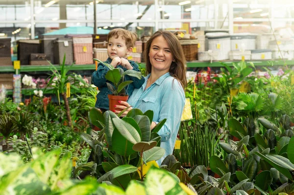 Mamá y su bebé en una tienda de plantas eligen plantas. Jardinería en invernadero — Foto de Stock