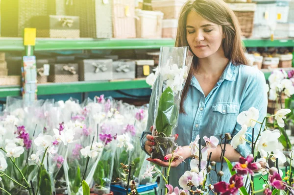 Hermosa cliente femenino oliendo orquídeas florecientes coloridas en la tienda al por menor . — Foto de Stock