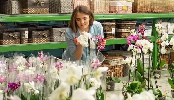 Hermosa cliente femenino oliendo orquídeas florecientes coloridas en la tienda al por menor . — Foto de Stock