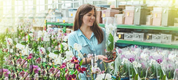 Hermosa cliente femenino oliendo orquídeas florecientes coloridas en la tienda al por menor . — Foto de Stock