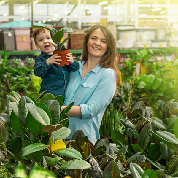 Ibu dan bayi laki-lakinya di toko tanaman memilih tanaman. Berkebun di Rumah Kaca — Stok Foto
