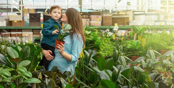 Mamá y su bebé en una tienda de plantas eligen plantas. Jardinería en invernadero — Foto de Stock