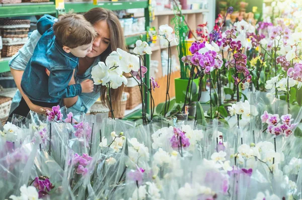 Mamá y su cliente del muchacho del bebé que huele orquídeas florecientes coloridas en la tienda al por menor . — Foto de Stock