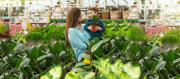 Mamá y su bebé en una tienda de plantas eligen plantas. Jardinería en invernadero — Foto de Stock