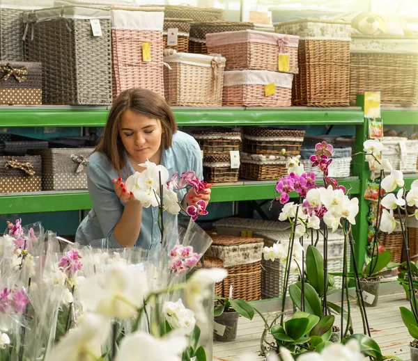 Pelanggan wanita cantik berbau anggrek mekar berwarna-warni di toko ritel . — Stok Foto