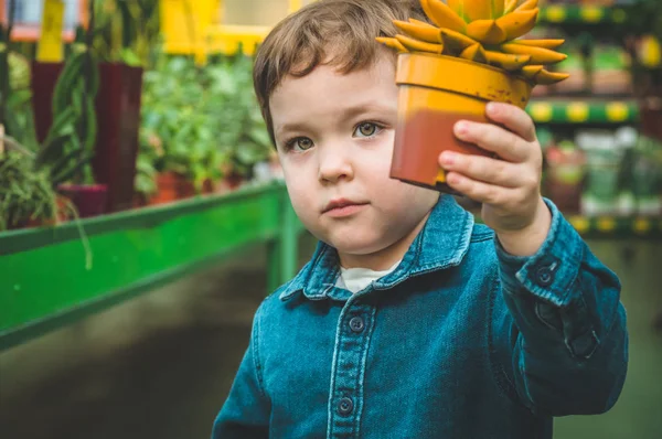 Bellissimo ragazzo che gioca con piante grasse nel negozio al dettaglio. Giardinaggio in serra — Foto Stock