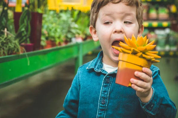 Bellissimo ragazzo che gioca con piante grasse nel negozio al dettaglio. Giardinaggio in serra — Foto Stock