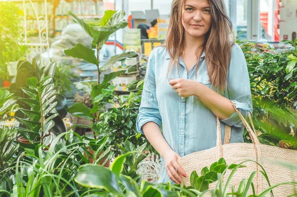 Hermosa chica cliente elige plantas ficus en la tienda minorista. Jardinería en invernadero . — Foto de Stock