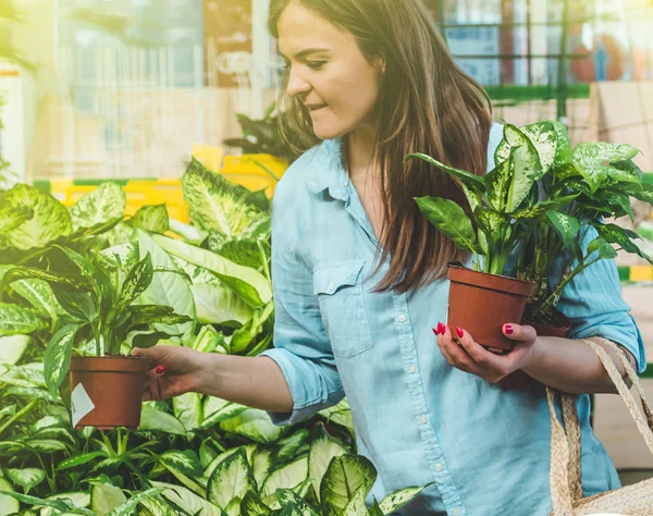 Hermosa chica cliente elige plantas ficus en la tienda minorista. Jardinería en invernadero . — Foto de Stock